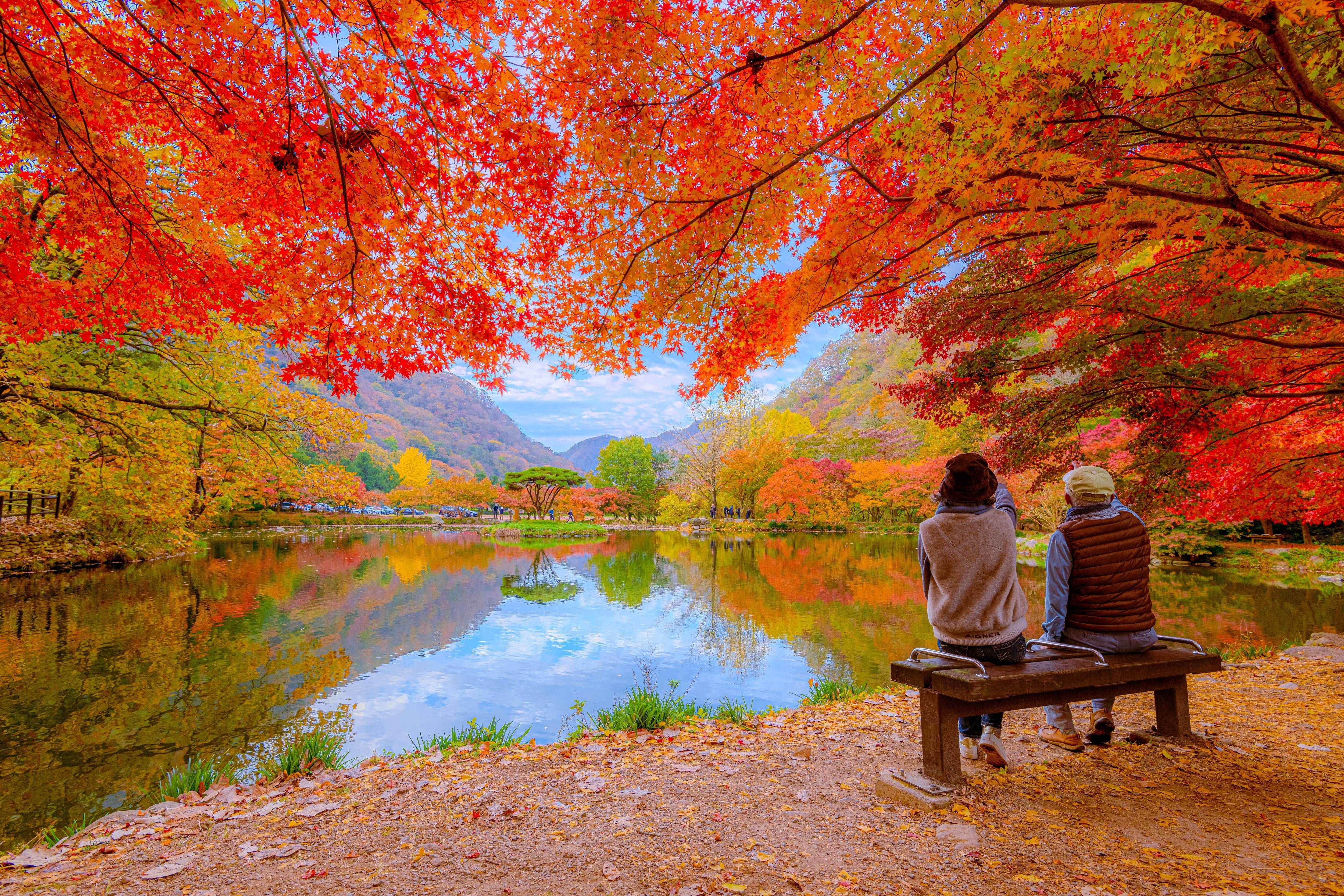 The land of morning calm
